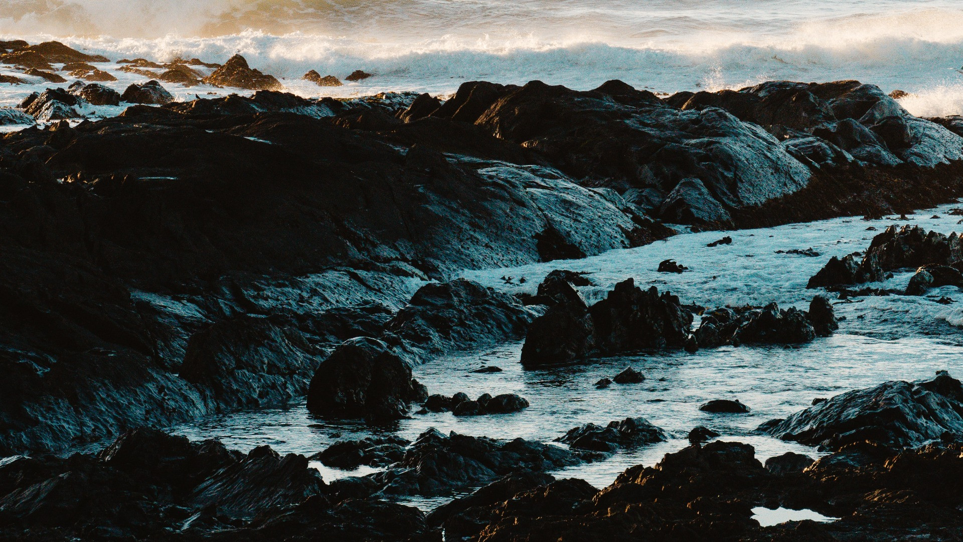 karabo-mdluli-SSGFI1JP-bU-unsplash